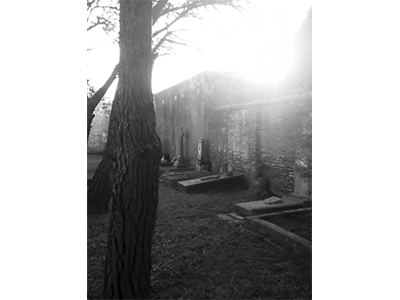 Maestros del terror - Terror - Pablo Martínez Burkett - Géneros literarios